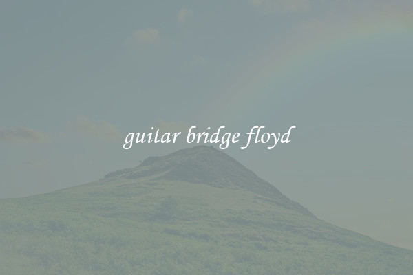 guitar bridge floyd
