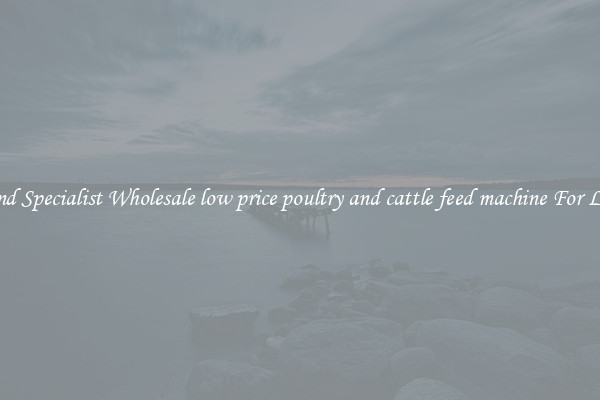  Find Specialist Wholesale low price poultry and cattle feed machine For Less 