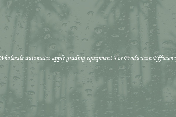 Wholesale automatic apple grading equipment For Production Efficiency