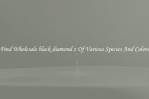Find Wholesale black diamond z Of Various Species And Colors