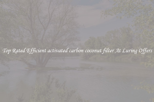 Top Rated Efficient activated carbon coconut filter At Luring Offers