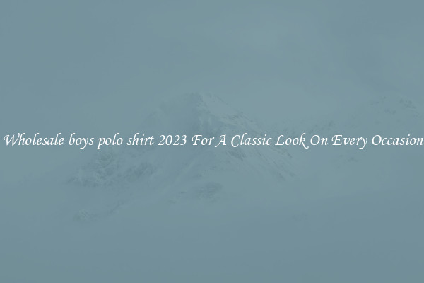 Wholesale boys polo shirt 2023 For A Classic Look On Every Occasion