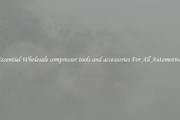 Essential Wholesale compressor tools and accessories For All Automotives