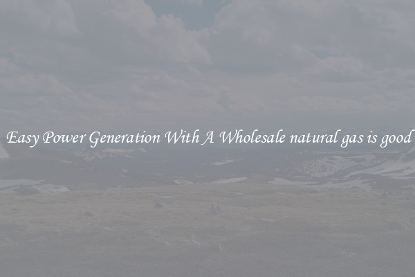 Easy Power Generation With A Wholesale natural gas is good