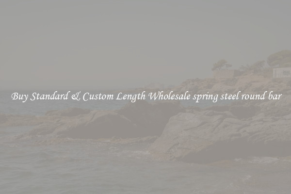 Buy Standard & Custom Length Wholesale spring steel round bar