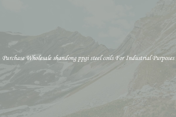 Purchase Wholesale shandong ppgi steel coils For Industrial Purposes