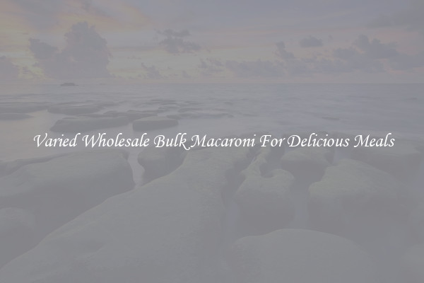 Varied Wholesale Bulk Macaroni For Delicious Meals