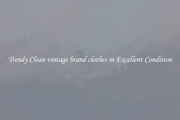 Trendy Clean vintage brand clothes in Excellent Condition