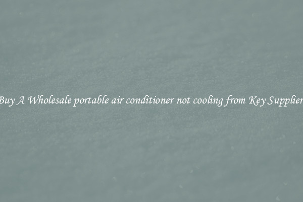 Buy A Wholesale portable air conditioner not cooling from Key Suppliers
