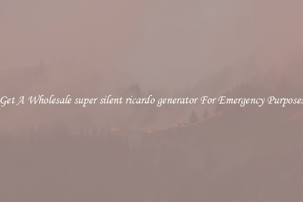 Get A Wholesale super silent ricardo generator For Emergency Purposes