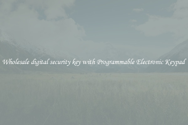 Wholesale digital security key with Programmable Electronic Keypad 