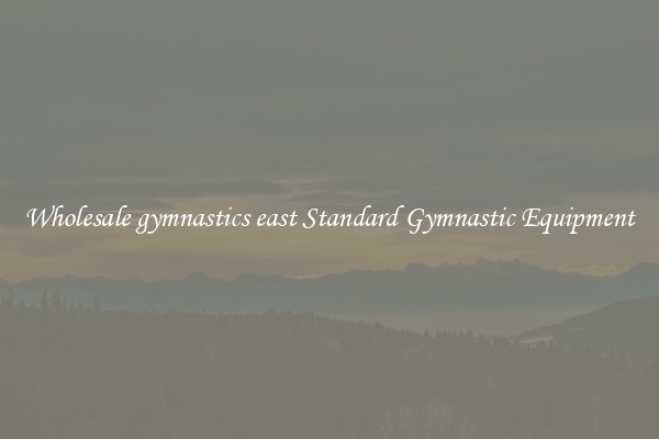 Wholesale gymnastics east Standard Gymnastic Equipment