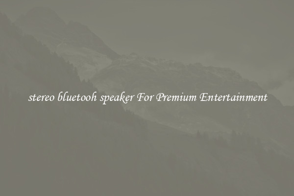 stereo bluetooh speaker For Premium Entertainment