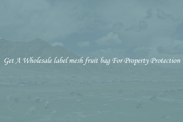 Get A Wholesale label mesh fruit bag For Property Protection