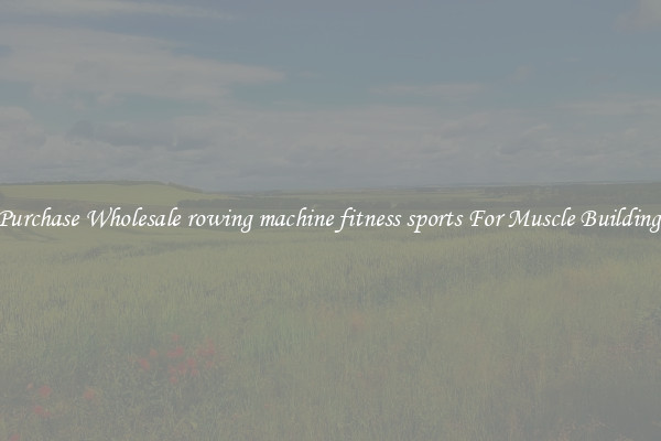 Purchase Wholesale rowing machine fitness sports For Muscle Building.