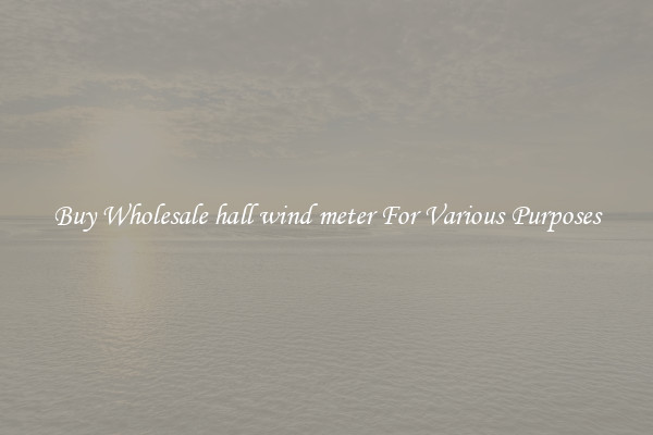 Buy Wholesale hall wind meter For Various Purposes