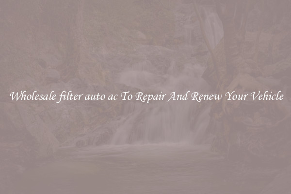 Wholesale filter auto ac To Repair And Renew Your Vehicle
