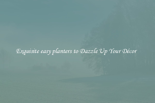 Exquisite easy planters to Dazzle Up Your Décor  
