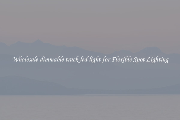 Wholesale dimmable track led light for Flexible Spot Lighting