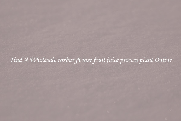 Find A Wholesale roxburgh rose fruit juice process plant Online