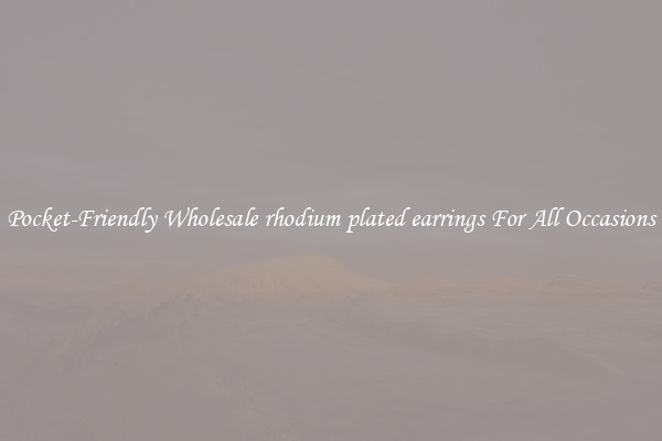 Pocket-Friendly Wholesale rhodium plated earrings For All Occasions