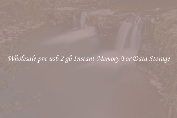 Wholesale pvc usb 2 gb Instant Memory For Data Storage