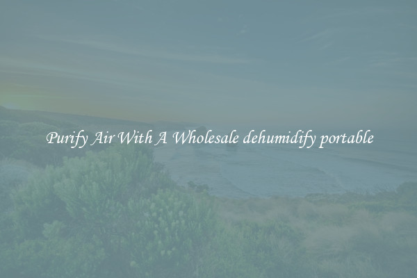 Purify Air With A Wholesale dehumidify portable