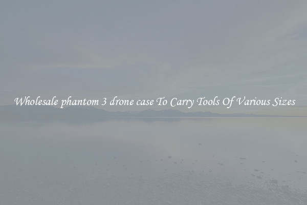Wholesale phantom 3 drone case To Carry Tools Of Various Sizes