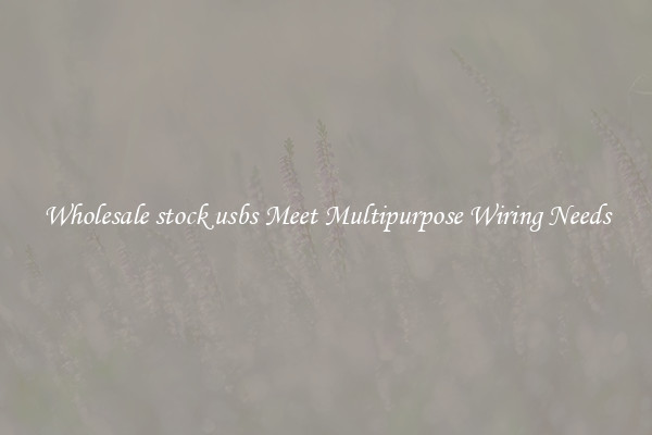 Wholesale stock usbs Meet Multipurpose Wiring Needs