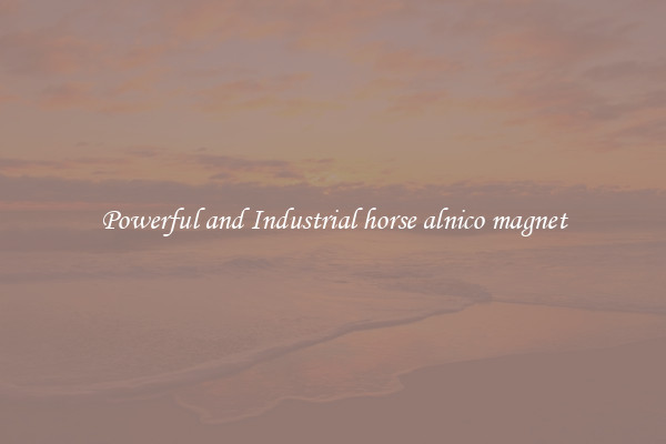 Powerful and Industrial horse alnico magnet