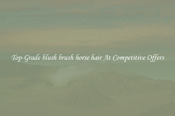 Top-Grade blush brush horse hair At Competitive Offers