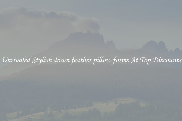 Unrivaled Stylish down feather pillow forms At Top Discounts