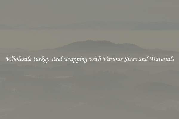 Wholesale turkey steel strapping with Various Sizes and Materials